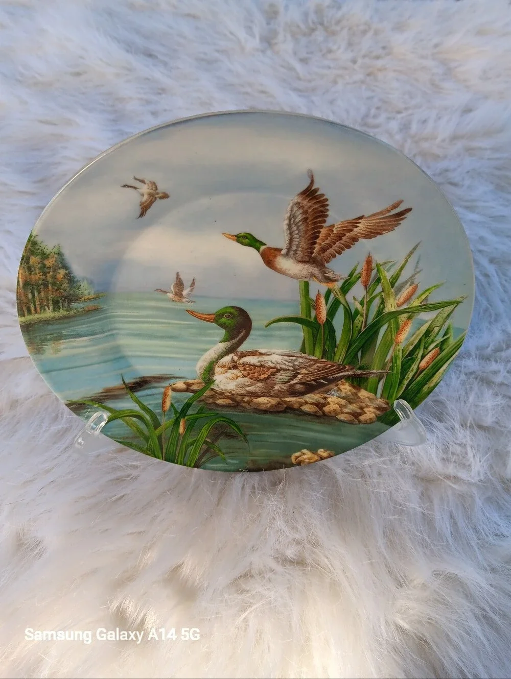 Three Decorative Duck Plates